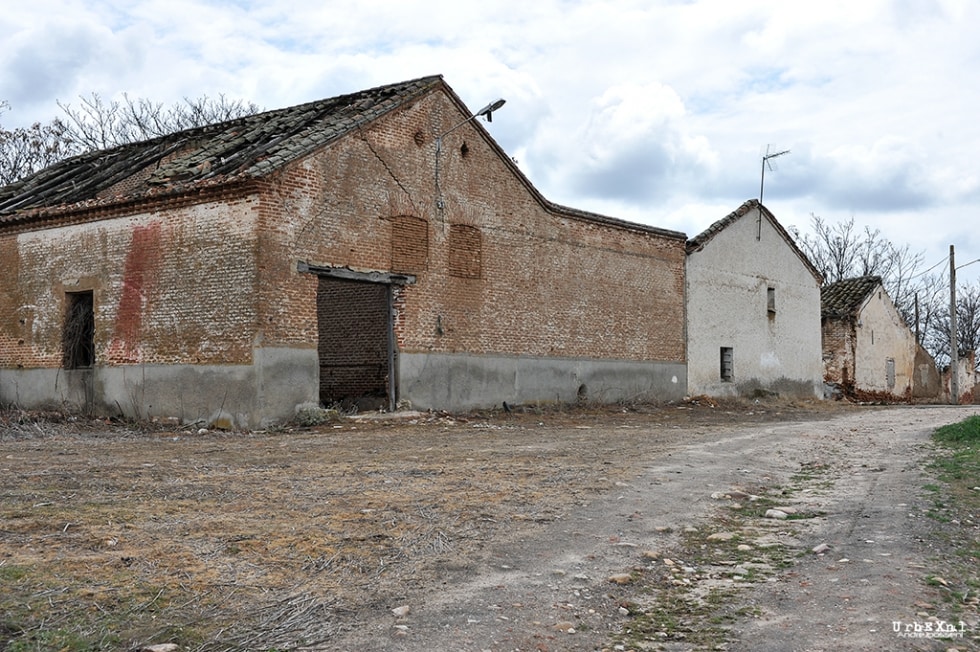 Fresno de Torote