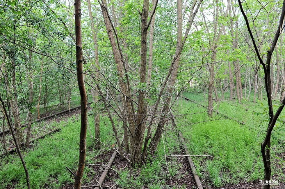 Bahnbetriebswerk Jüterbog