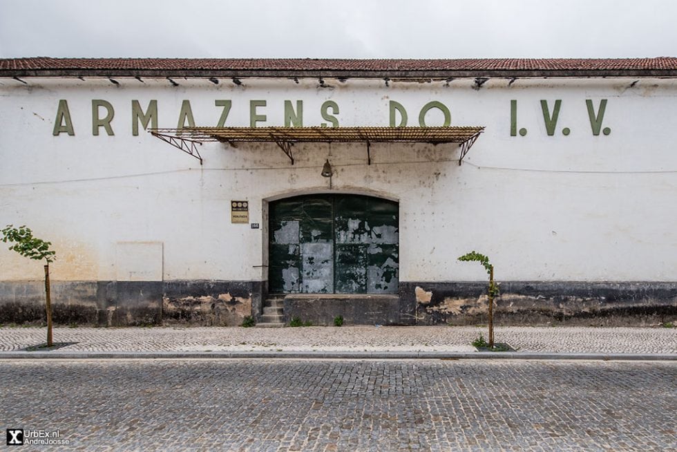 Instituto da Vinha e do Vinho