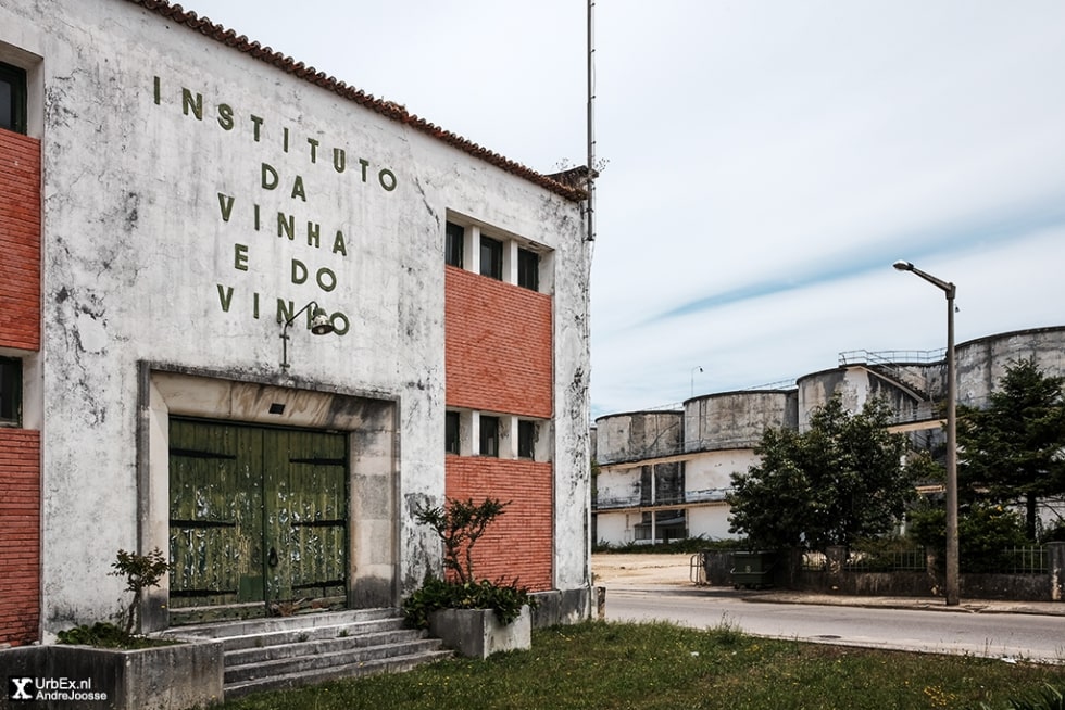 Instituto da Vinha e do Vinho