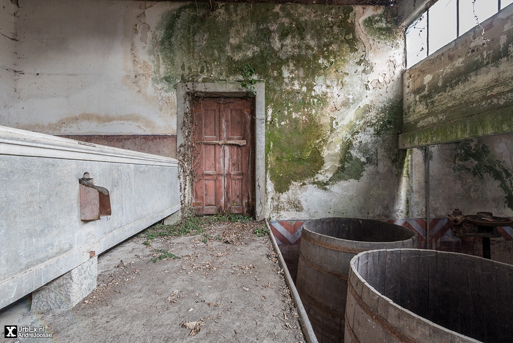 Abandoned wine farm